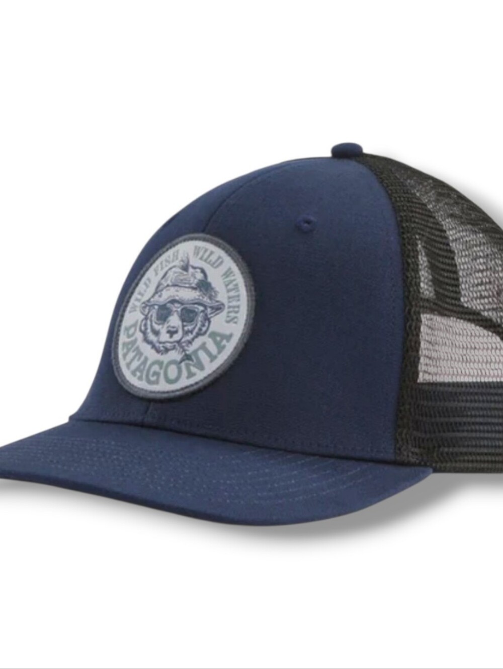 Patagonia Take Stand Trucker Hat Navy Blue Wild Fish Wild Waters Snapback Mesh